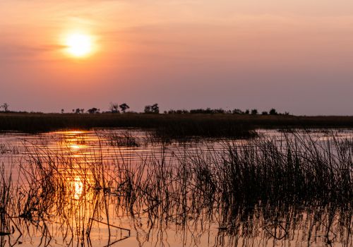 Okavango Delta Boat Safari