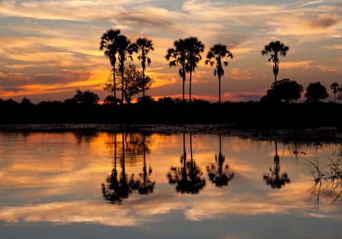 Okavango Delta Boat Safari