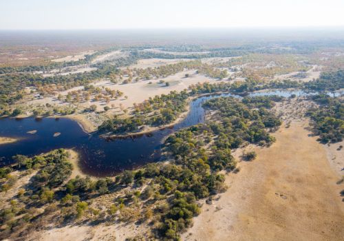 Okavango Delta Boat Safari