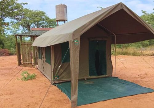 Game drives across the Kalahari’s semi-arid environment