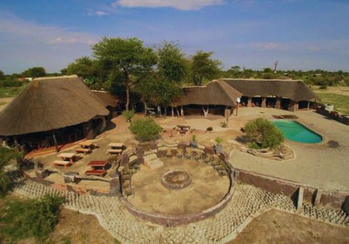 Safari adventure observing wildlife at Elephant Sands, Botswana