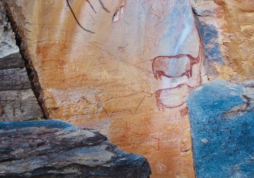 Cultural experience with local communities in Botswana
