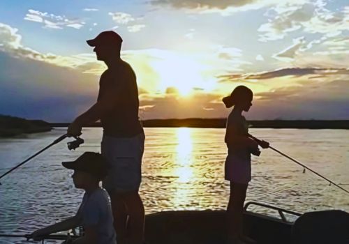 Boat safari through the Okavango Delta waterways
