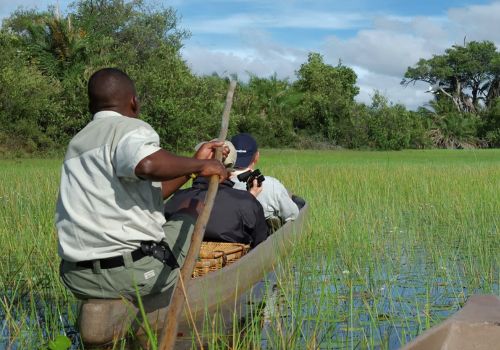 Boat safari through the Okavango Delta waterways